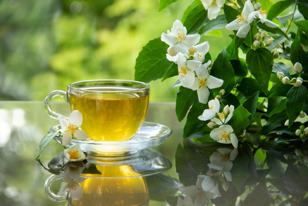 Uống trà hoa nhài có tác dụng gì cho sức khỏe mỗi người?