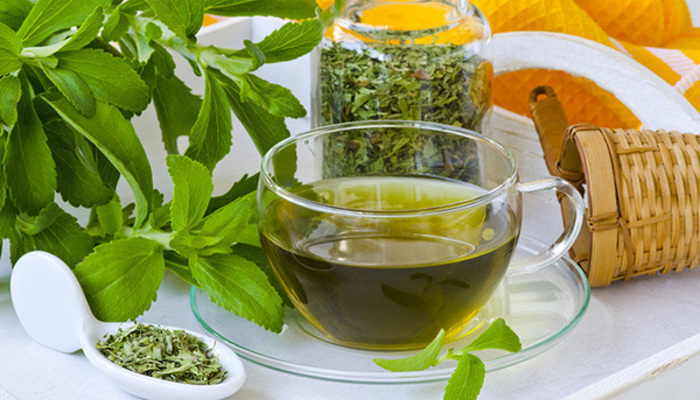 Cây cỏ ngọt là gì? Uống trà cỏ ngọt có tốt cho sức khỏe không?
